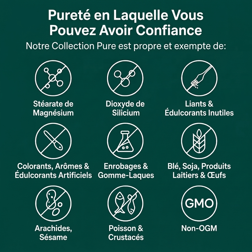 Bougez plus confortablement grâce au Curcuma & à la Curcumine (1 000 mg)