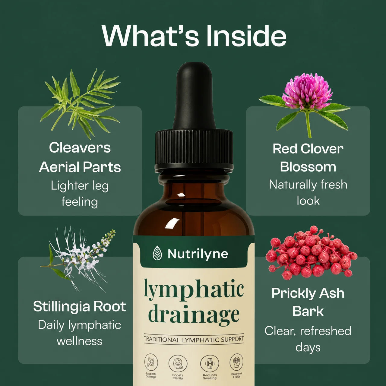 Nutrilyne | 4-Herb Lymphatic Drainage Drops