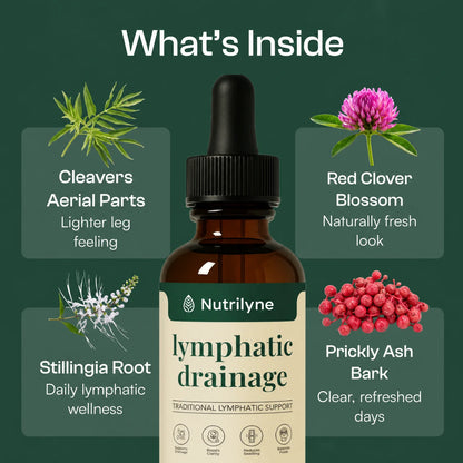 Nutrilyne | 4-Herb Lymphatic Drainage Drops