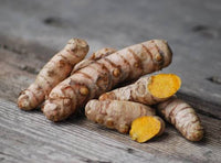 Curcuma